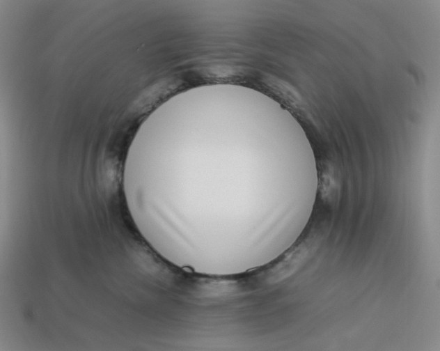 X0000113260476200910011411