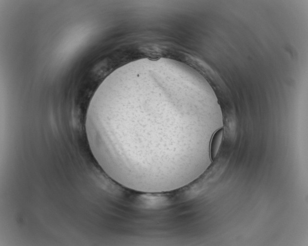 X0000113260477200910011411
