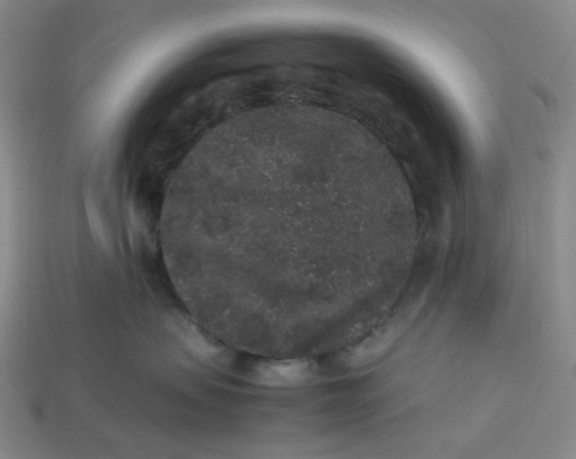 X0000113260479200910011411