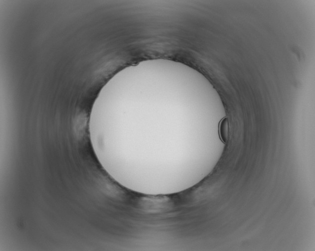 X0000113260480200910011411