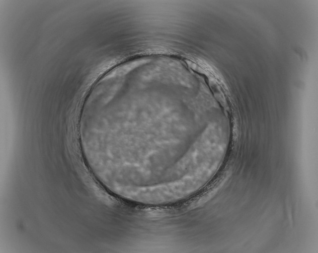 X0000113260481200910011410