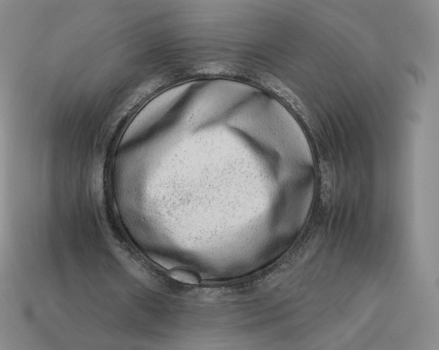 X0000113260482200910011410