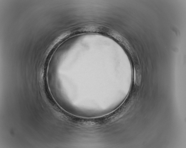 X0000113260483200910011410