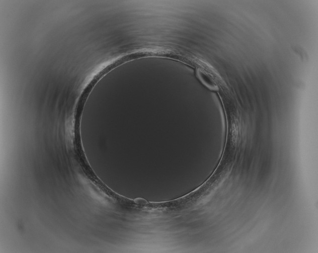 X0000113260484200910011410