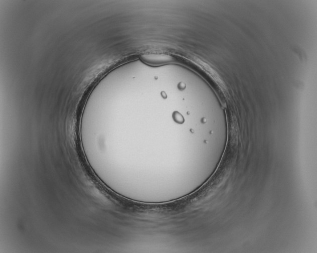 X0000113260485200910011410