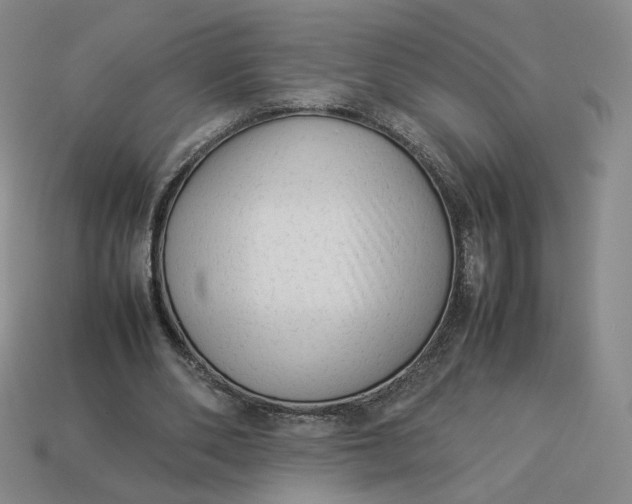 X0000113260486200910011410