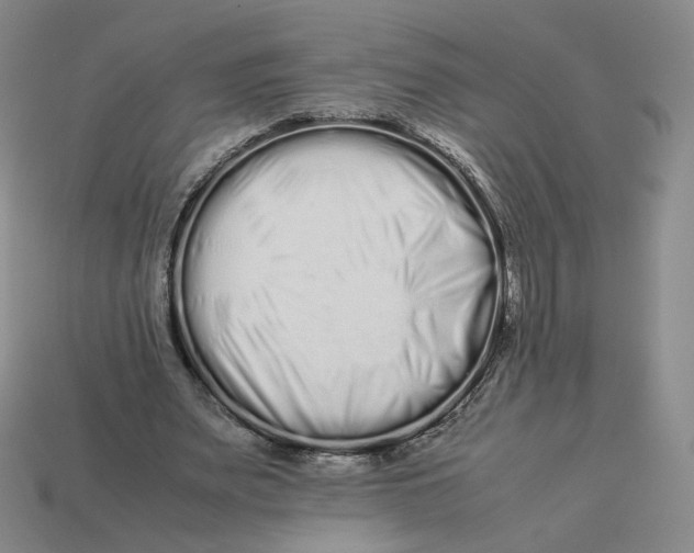 X0000113260487200910011410