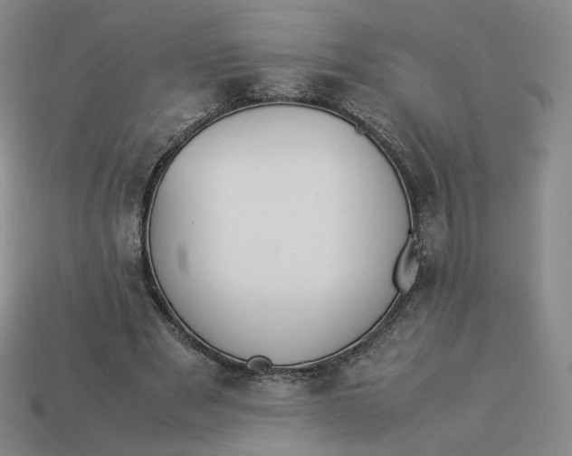 X0000113260489200910011410