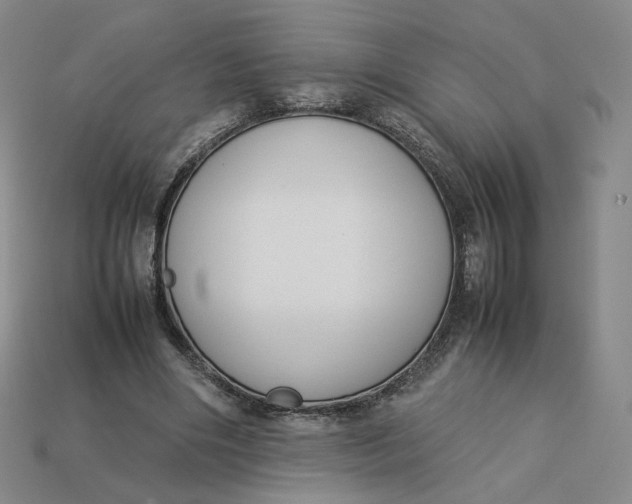 X0000113260490200910011410