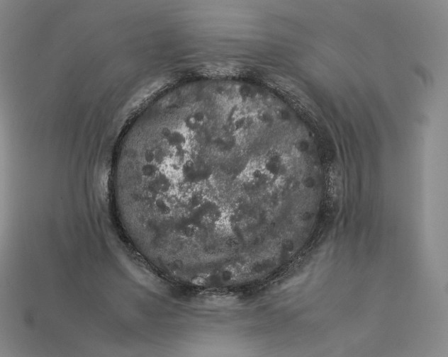 X0000113260491200910011410