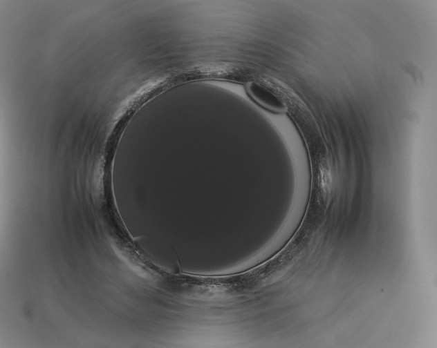 X0000113260492200910011410