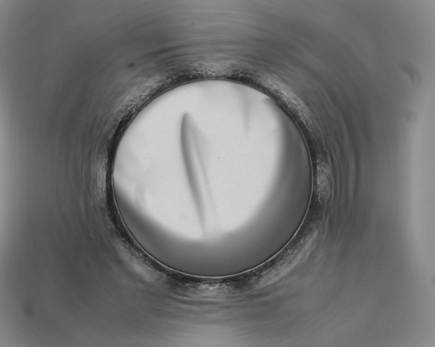 X0000113260493200910011410