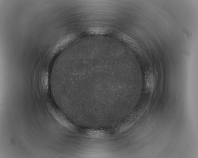 X0000113260494200910011410