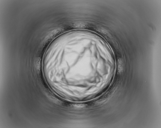 X0000113260495200910011410