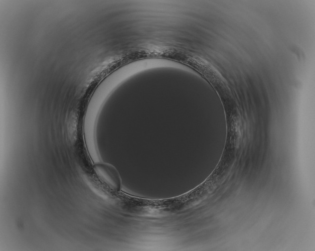 X0000113260496200910011410