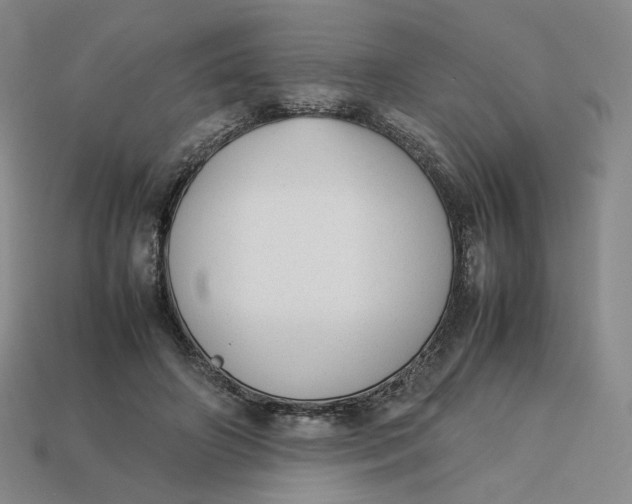 X0000113260498200910011410