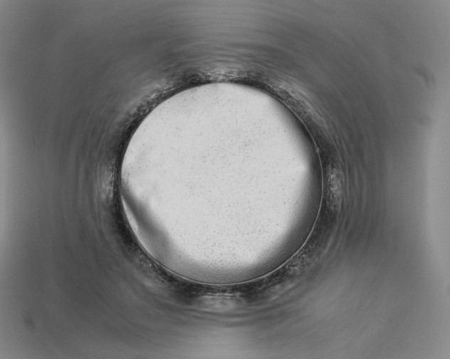 X0000113260499200910011410