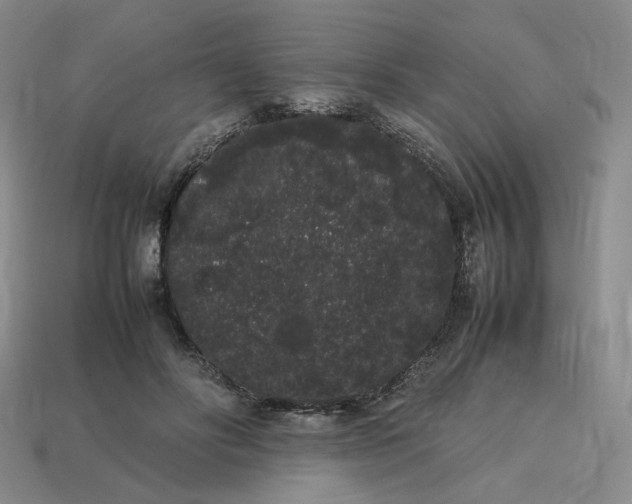 X0000113260502200910011410