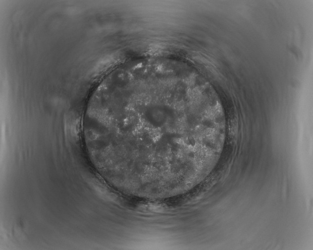 X0000113260503200910011410