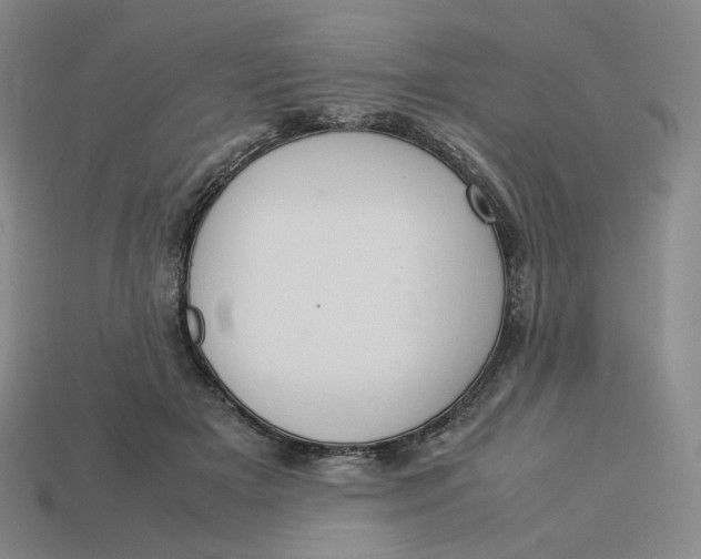 X0000113260505200910011410