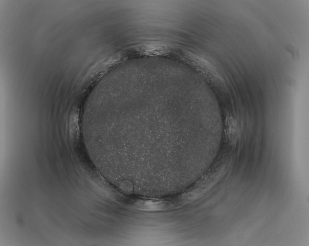 X0000113260506200910011410