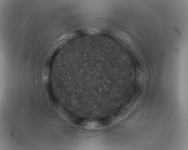 X0000113260507200910011410
