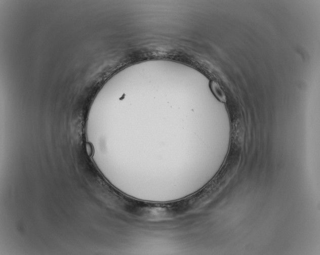 X0000113260509200910011410