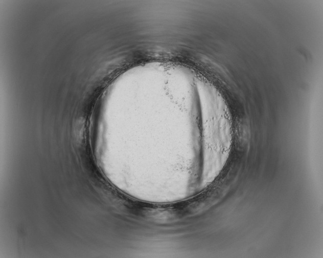 X0000113260511200910011410