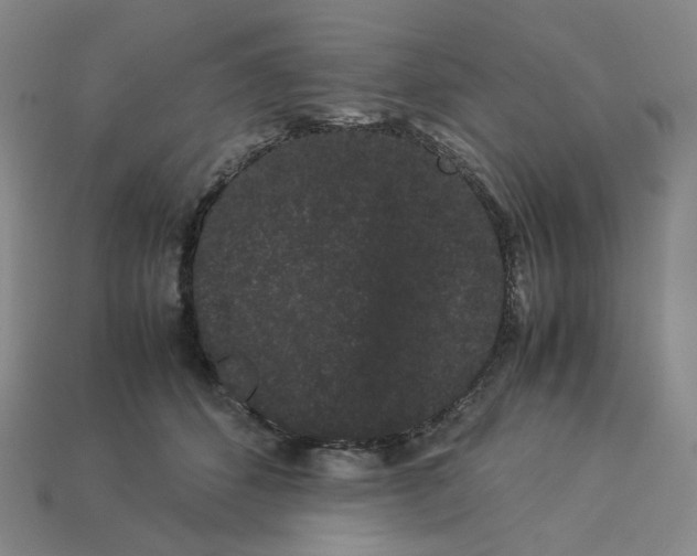 X0000113260512200910011410