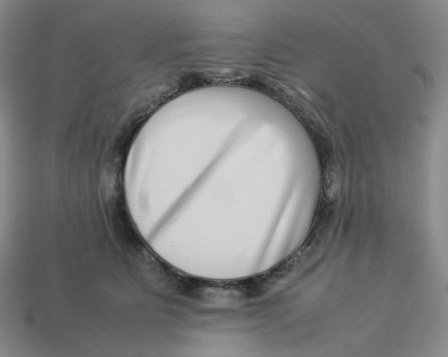 X0000113260515200910011410