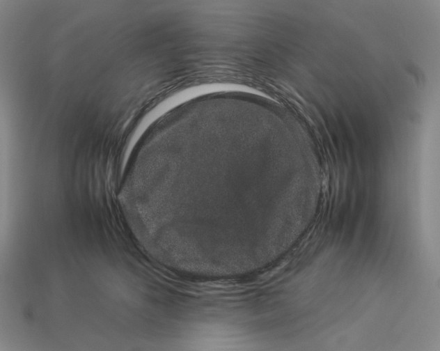 X0000113260516200910011410