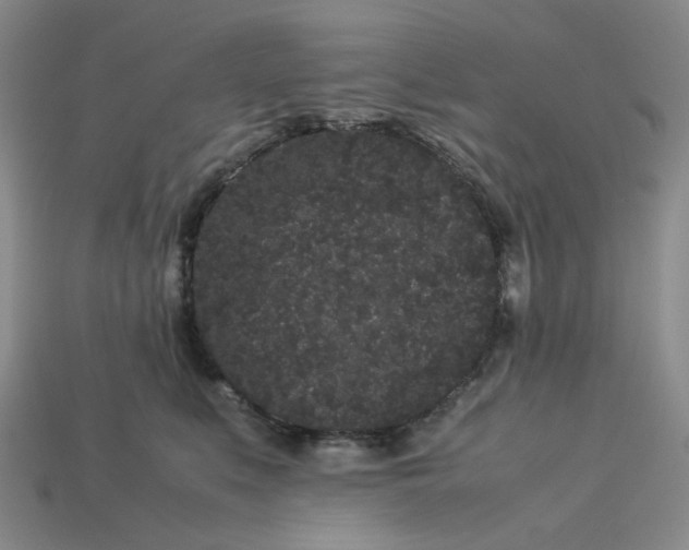 X0000113260519200910011410
