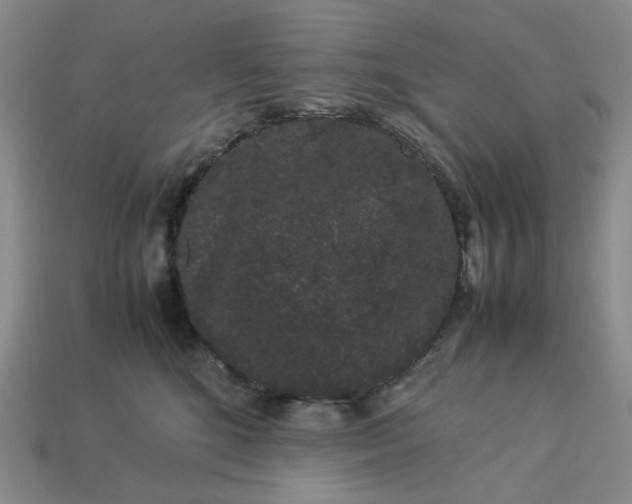 X0000113260520200910011410