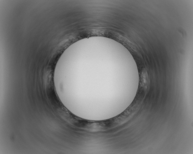 X0000113260522200910011410