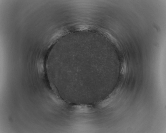 X0000113260524200910011410