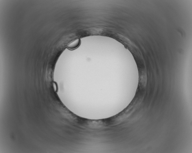 X0000113260525200910011410