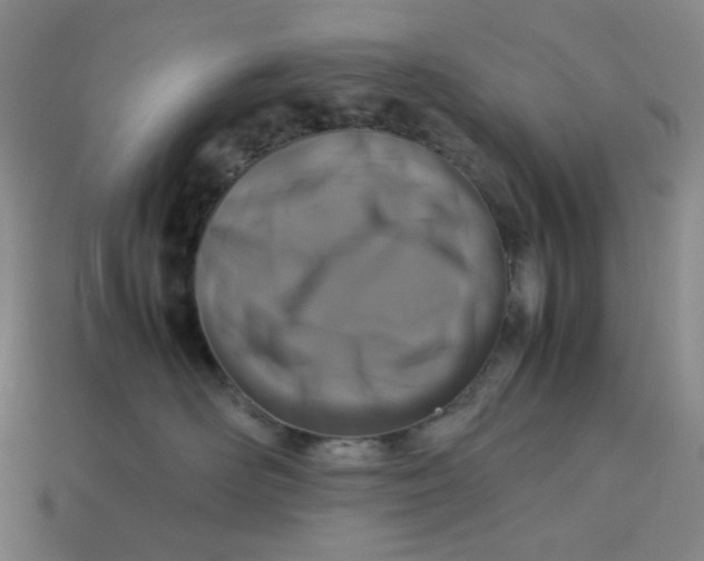 X0000113260526200910011410