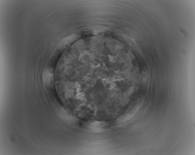 X0000113260527200910011410