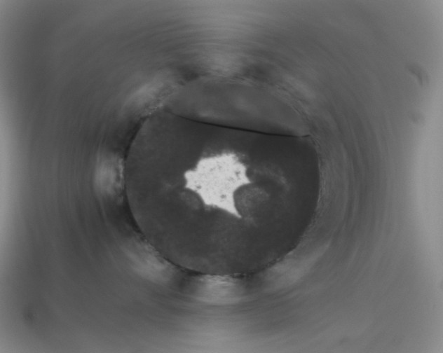 X0000113260528200910011410
