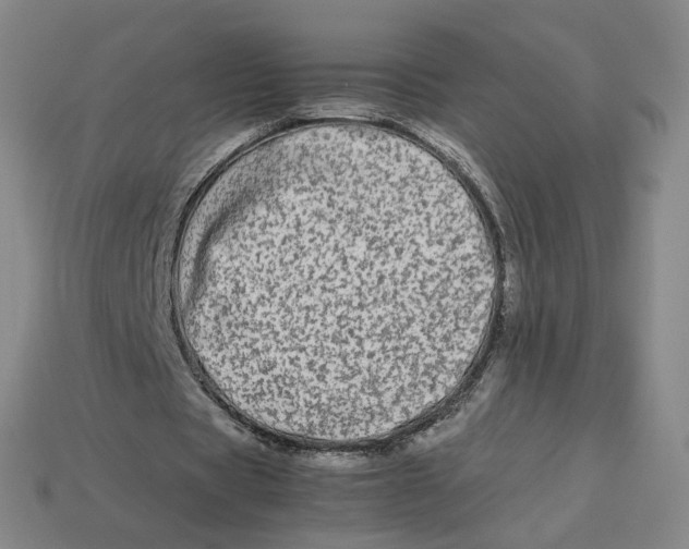 X0000113260529200910011409