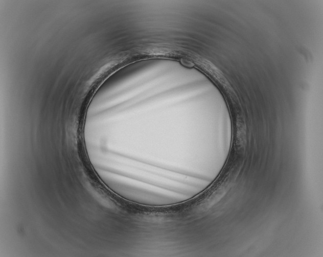 X0000113260530200910011409