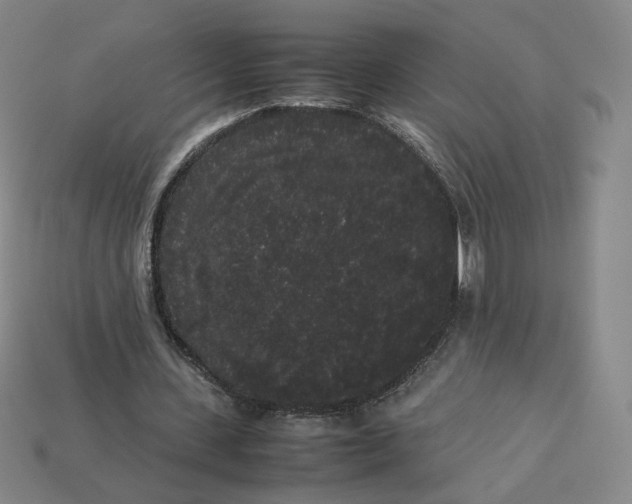 X0000113260531200910011409