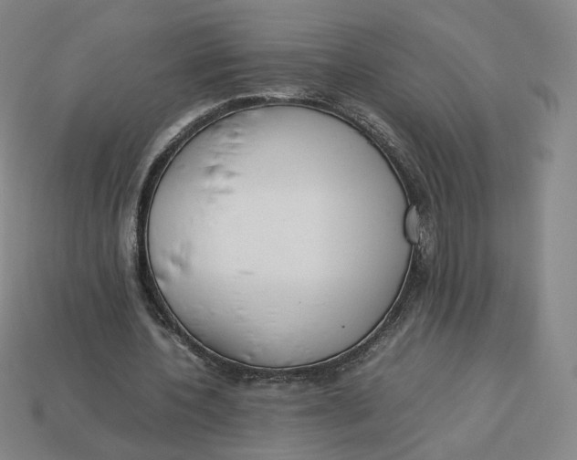 X0000113260532200910011409