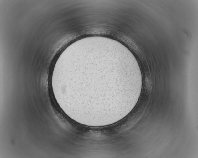 X0000113260534200910011409