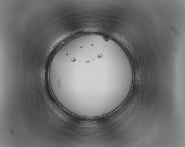 X0000113260535200910011409