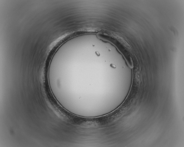 X0000113260536200910011409