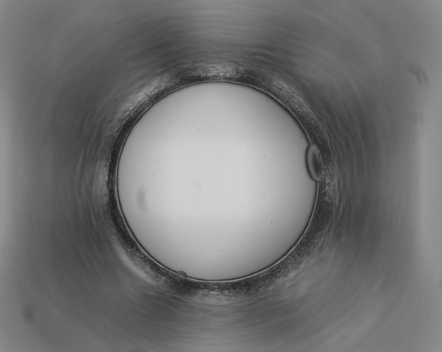 X0000113260538200910011409