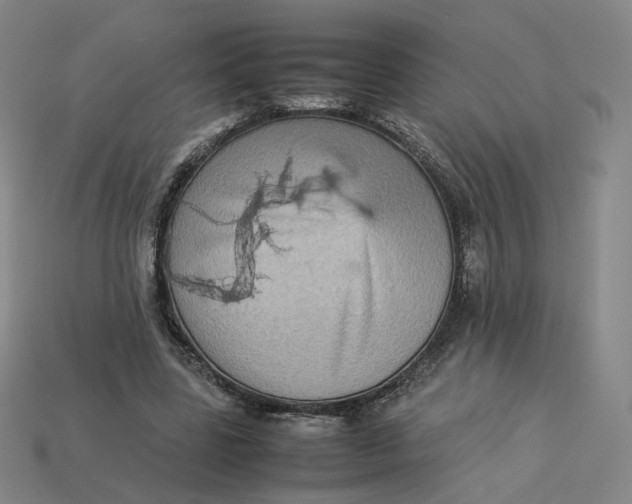 X0000113260539200910011409