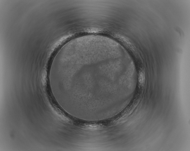 X0000113260540200910011409