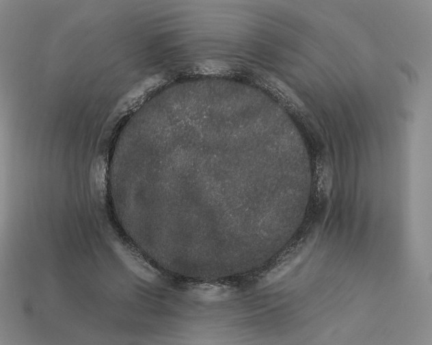 X0000113260542200910011409